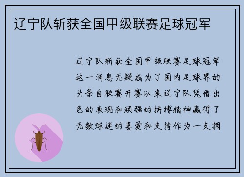 辽宁队斩获全国甲级联赛足球冠军