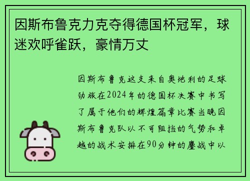 因斯布鲁克力克夺得德国杯冠军，球迷欢呼雀跃，豪情万丈